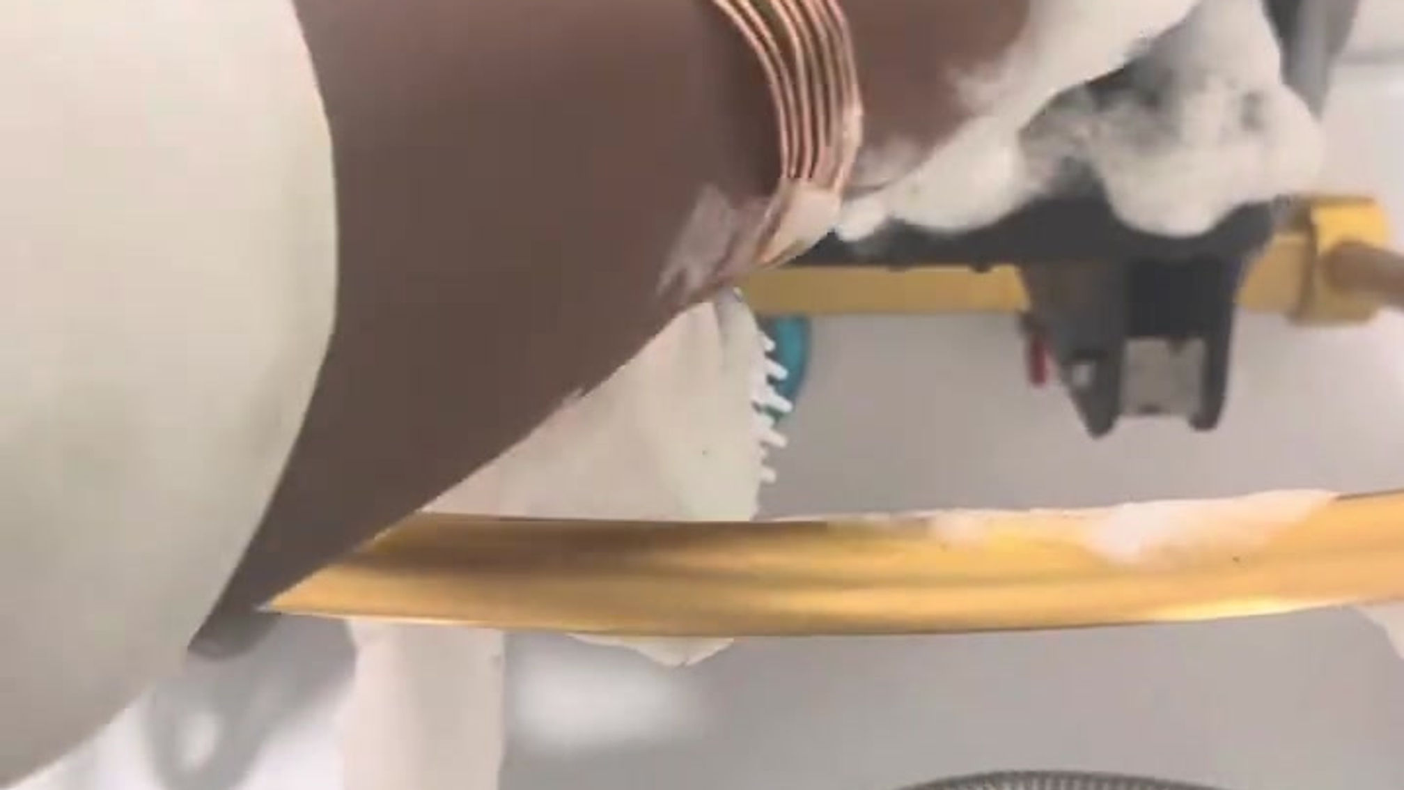 Rejuvinating Hair Wash